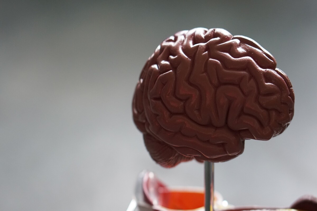 Why You Should Never Stop Learning If You Want a Successful Business