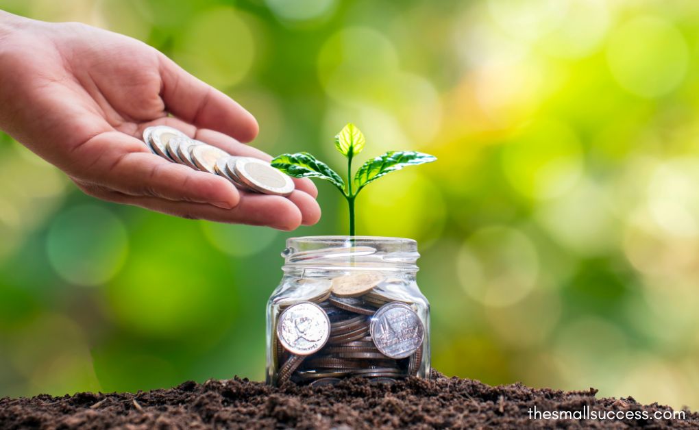 Smart Investing for Beginners: How to Start With Just $100 in the Stock Market