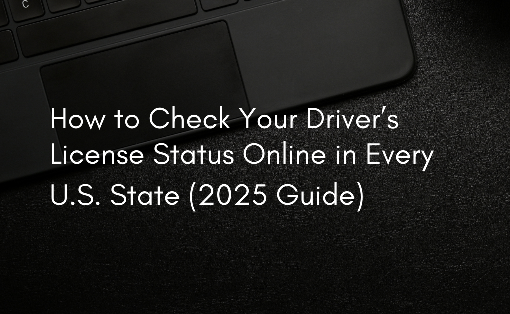 How to Check Your Driver’s License Status Online in Every U.S. State (2025 Guide)