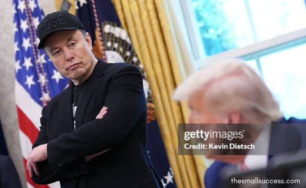 Elon Musk and Donald Trump Trade Barbs, Fueling Their Own Digital Echo Chambers